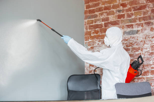 Best Environmental Consulting for Mold Prevention  in Beacon, NY