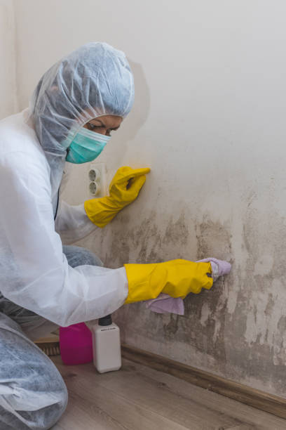 Mold Remediation for Rental Properties in Beacon, NY