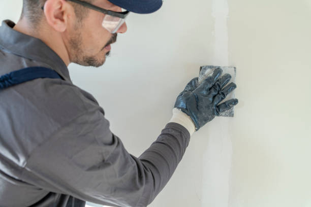 Best Attic Mold Removal  in Beacon, NY