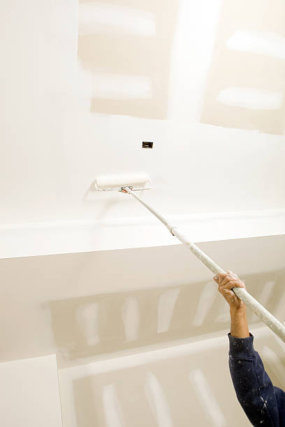 Best Basement Mold Removal  in Beacon, NY