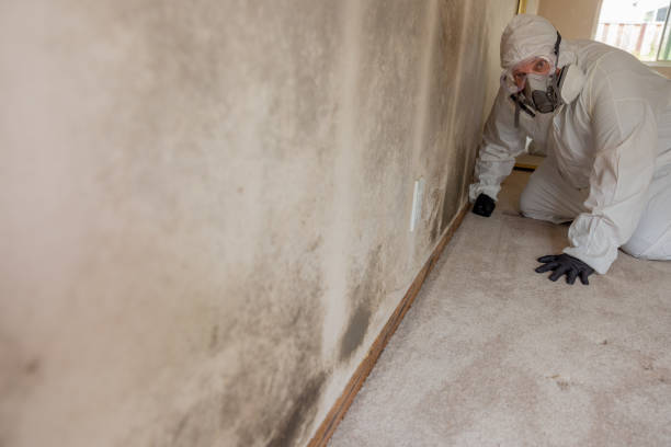 Best Indoor Air Quality Assessment  in Beacon, NY
